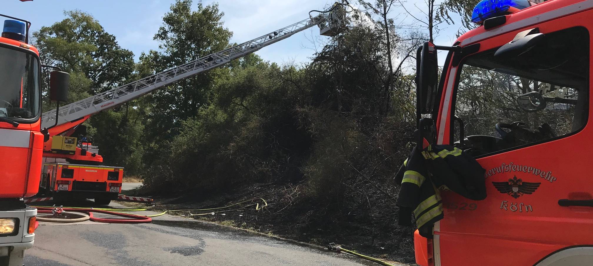Pflanzentöpfe geraten in Brand