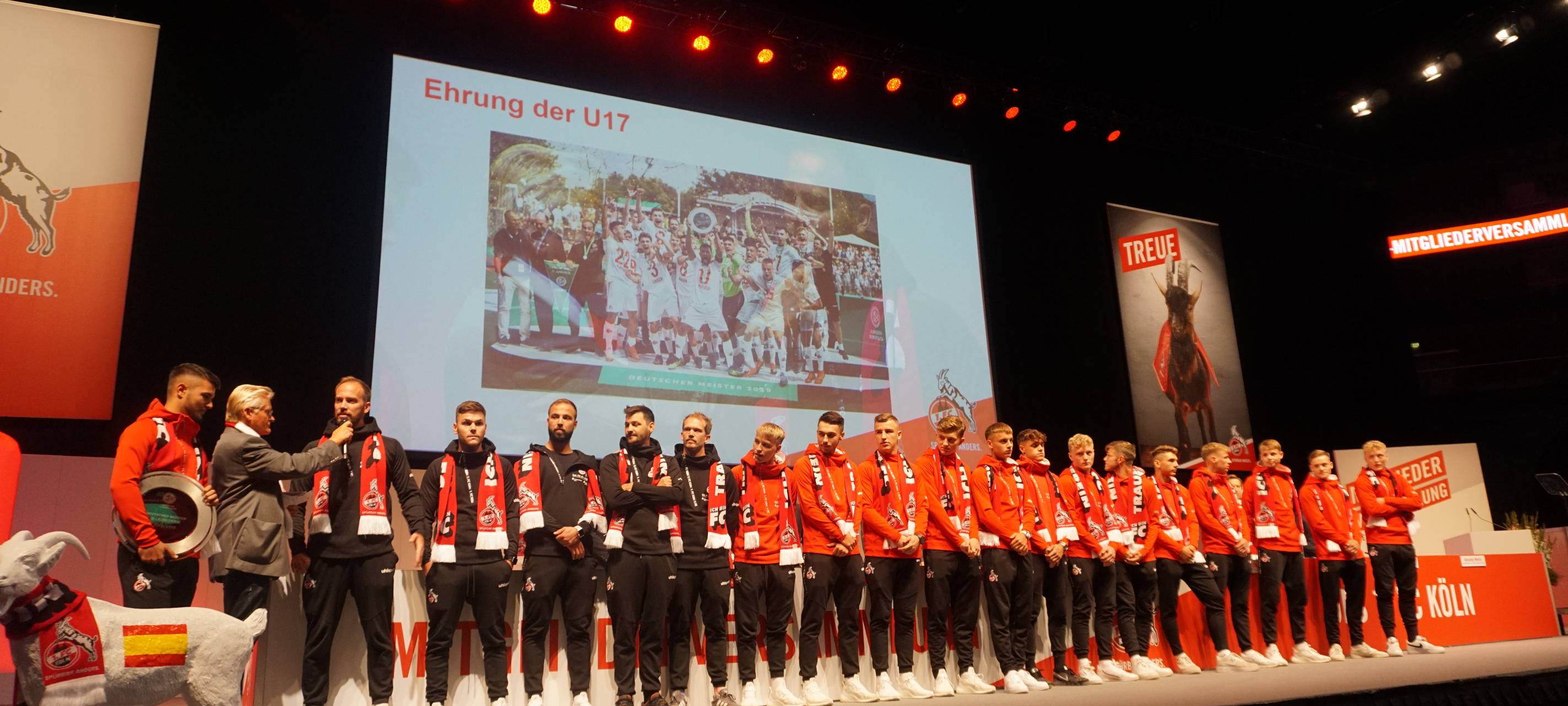 Der 1. FC Köln hat einen neuen Vorstand