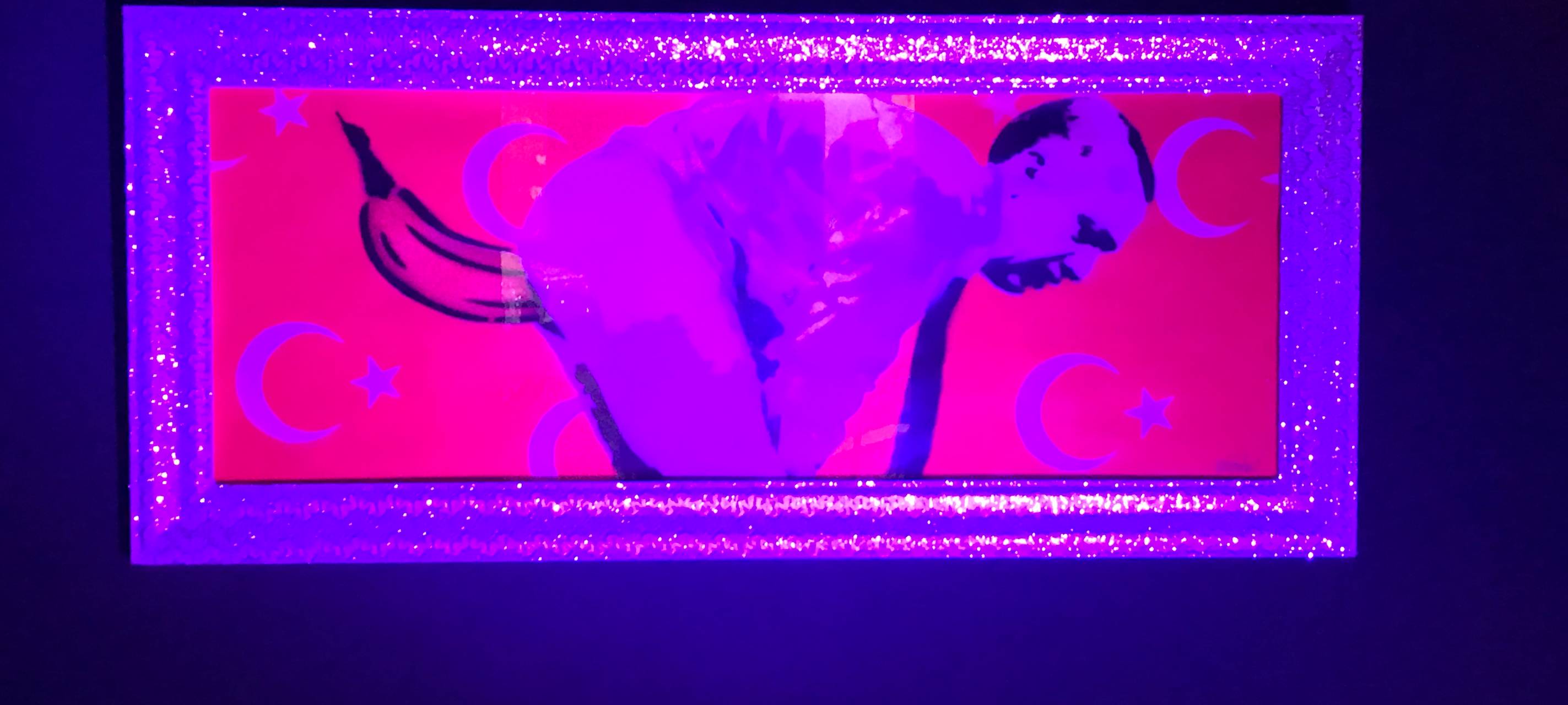 Kunst-Ausstellung: "German Urban Popart" vom Bananen-Sprayer in Köln eröffnet