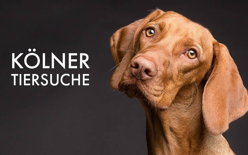 die kolner tiersuche radio koln