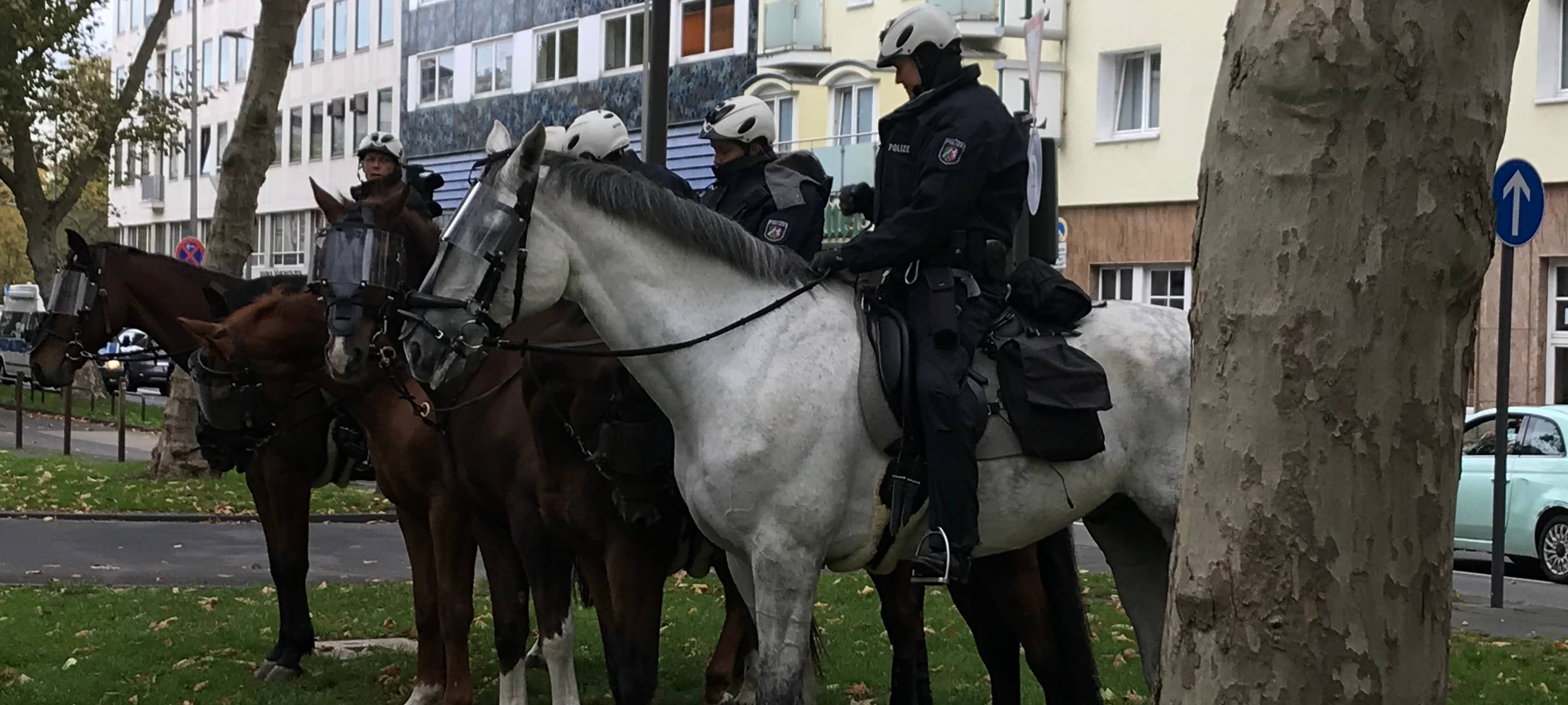 Kurden-Demo verlief friedlich - 10.000 Teilnehmer
