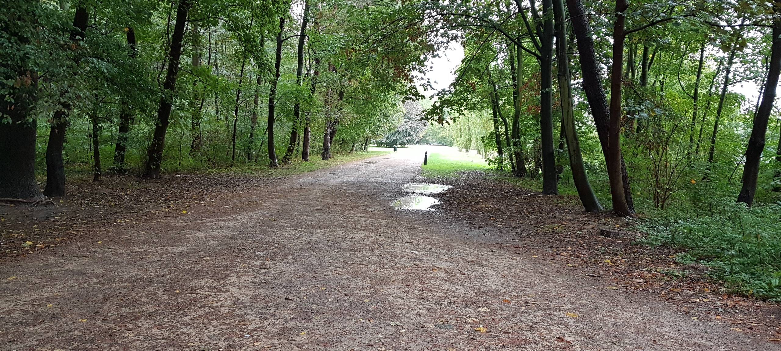 Kilometer für Köln sammeln