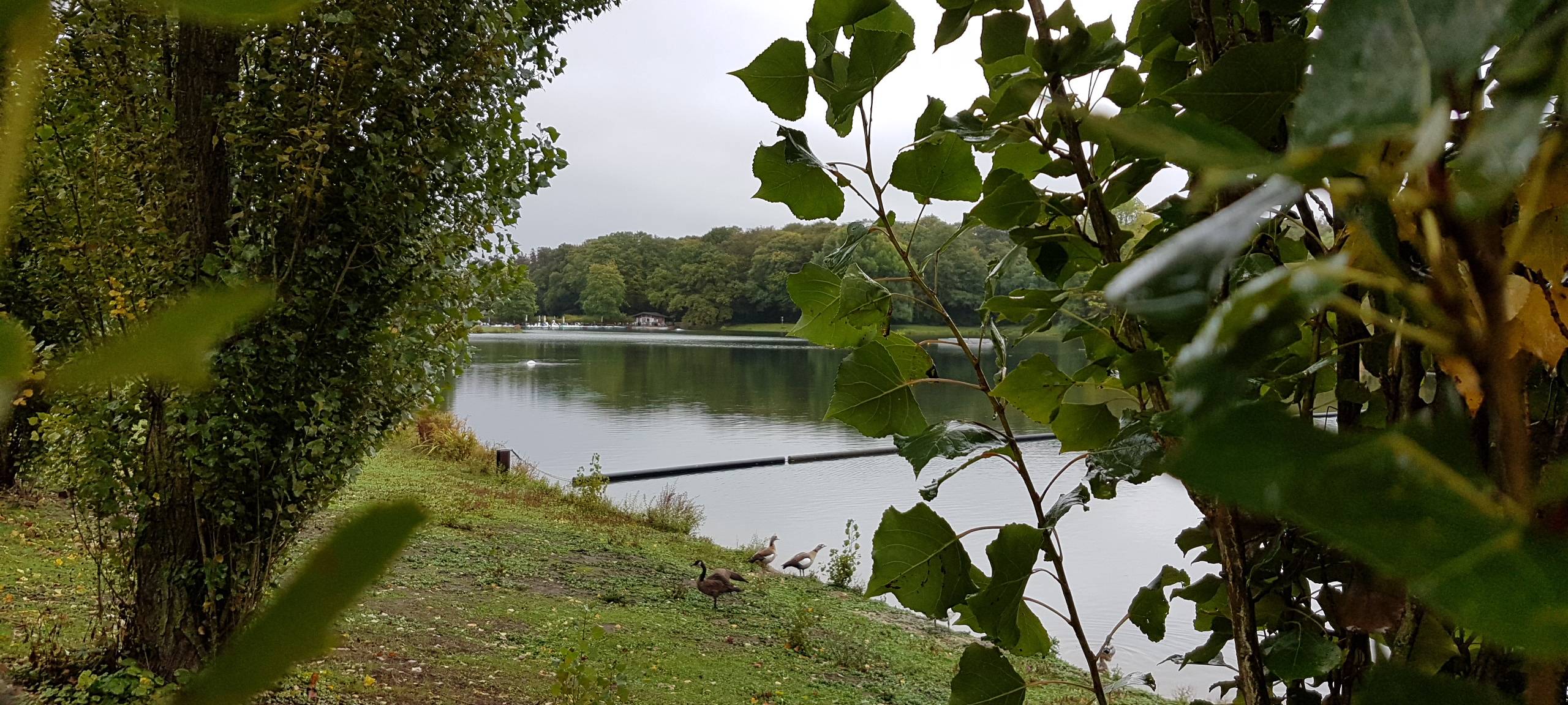 Mähboote am Decksteiner See im Einsatz
