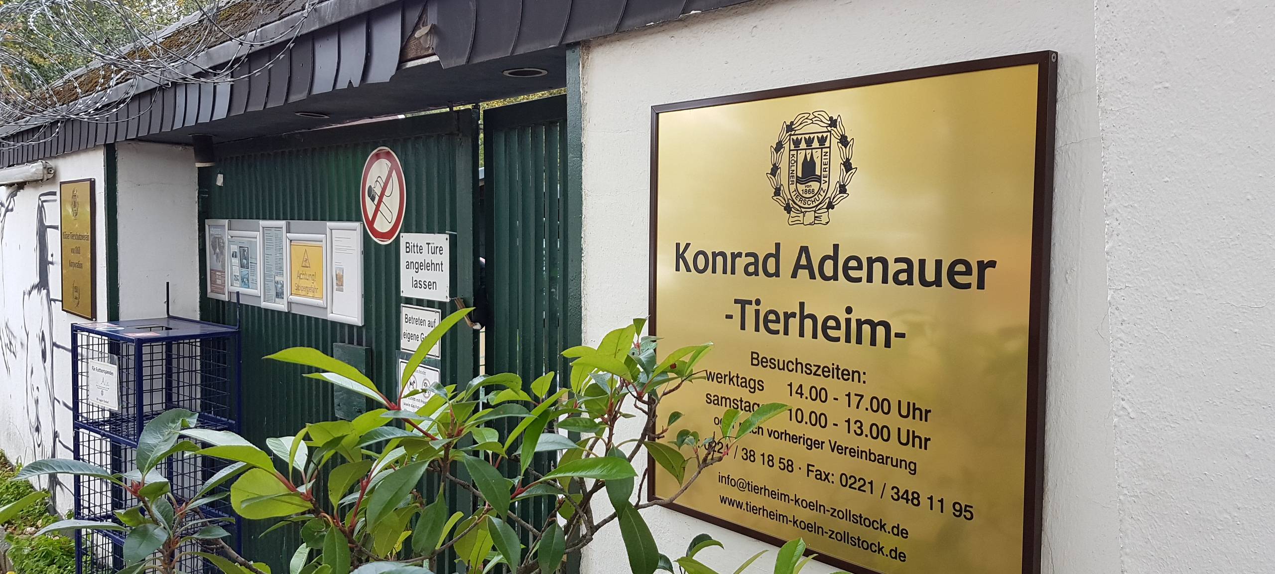 Tierheim Zollstock erhält 25.000 Euro Zuschuss