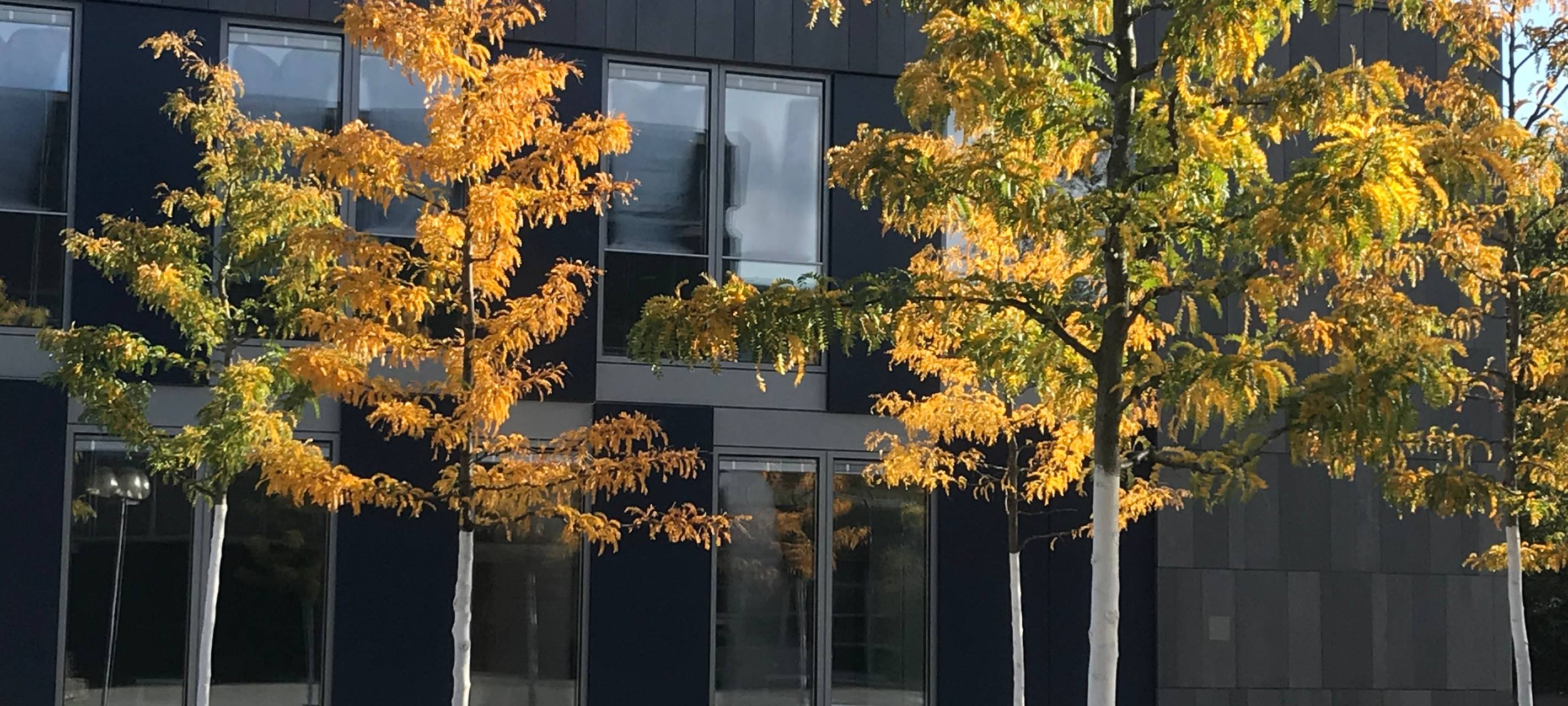 Anmeldung zur weiterführenden Schule seit Freitag