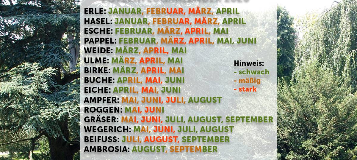 Pollensaison hat früher begonnen