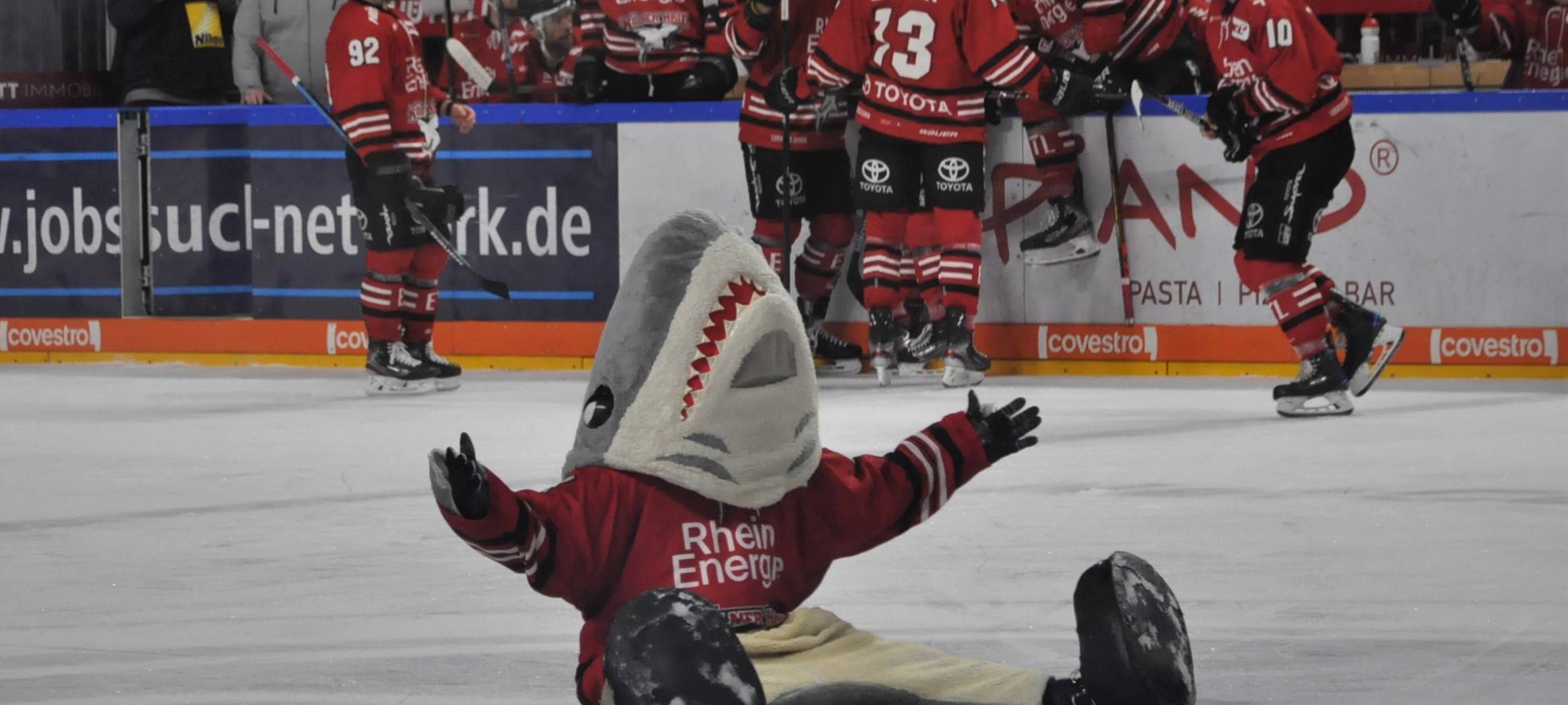 Kölner Haie beenden Saison mit Niederlage