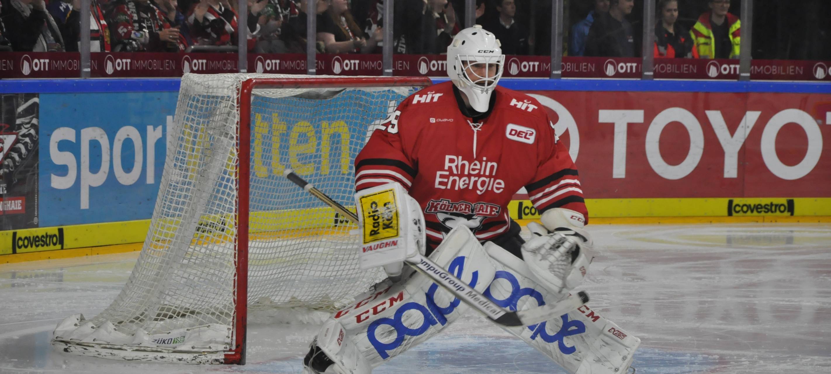 Kölner Haie: Heimspiel gegen Straubing Tigers