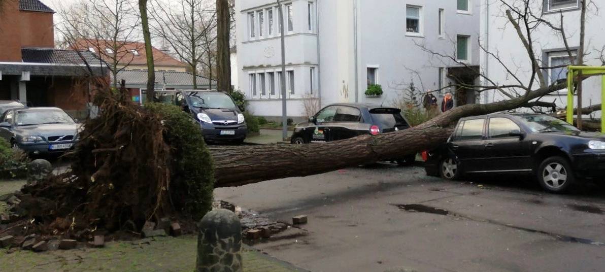 Sturmtief sorgt weiterhin für Einschränkungen