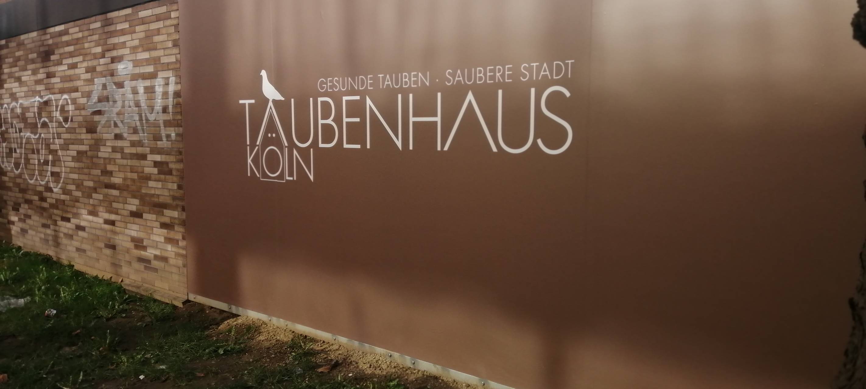 Stadt will Stadttauben-Modell ausweiten