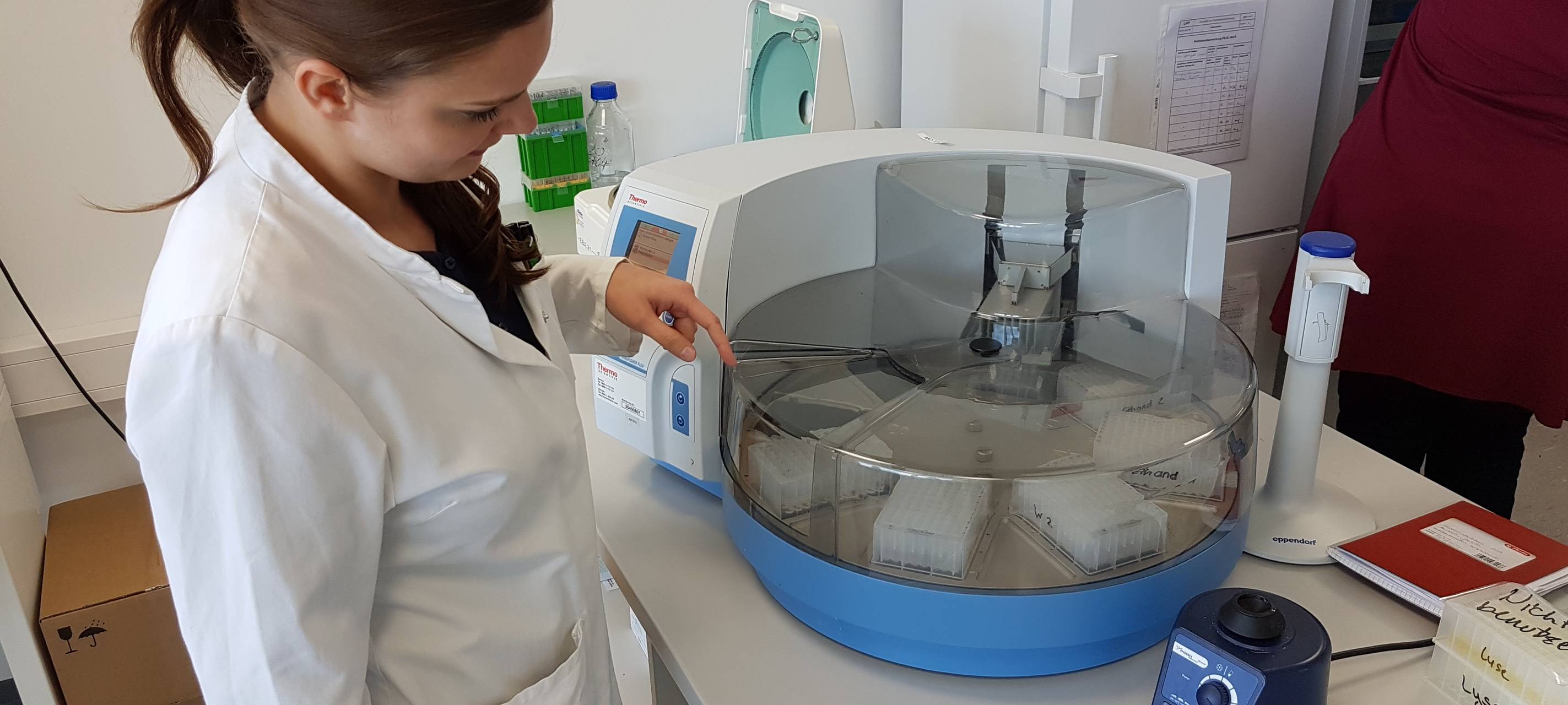 Weitere 96 Corona-Patienten aus Quarantäne entlassen