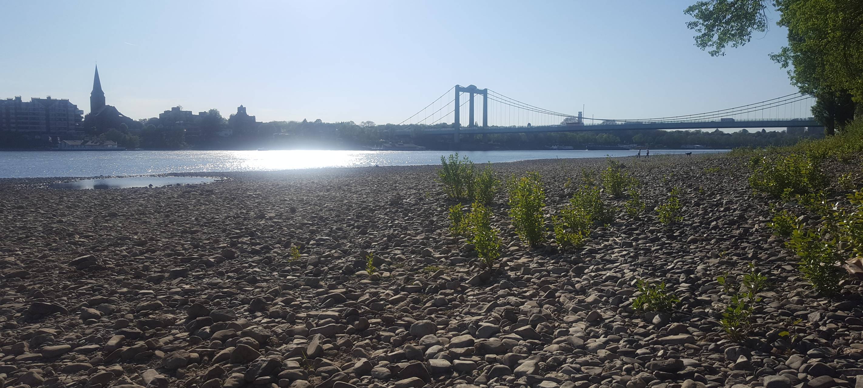 Rheinpegel in Köln bleibt niedrig