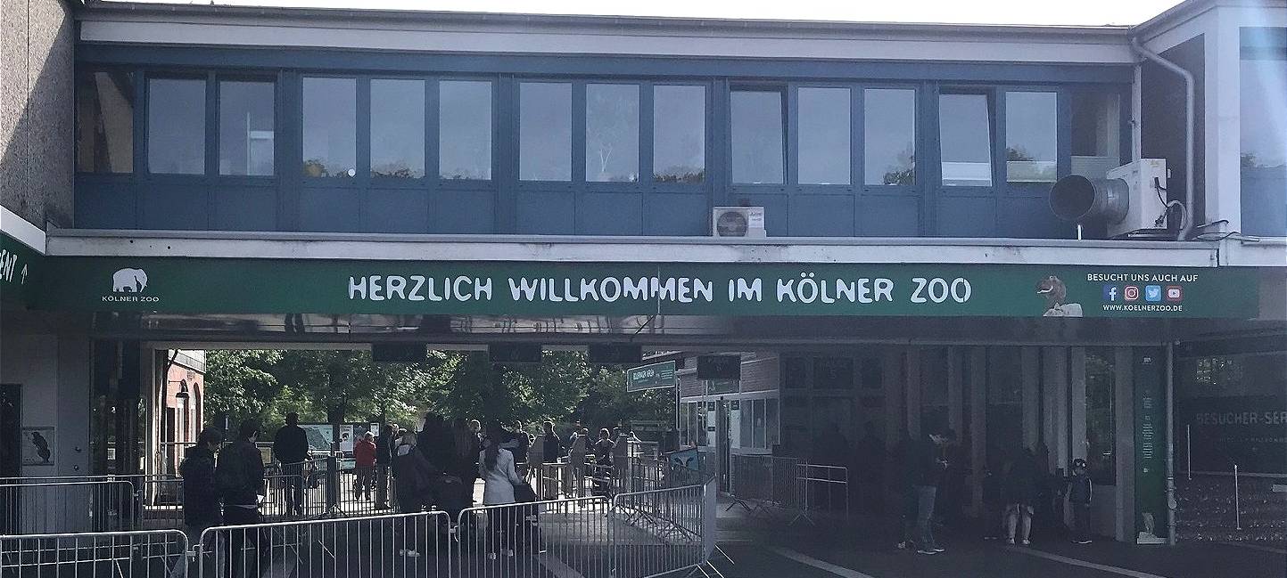 Kölner Zoo bleibt wegen Vogelgrippe geschlossen