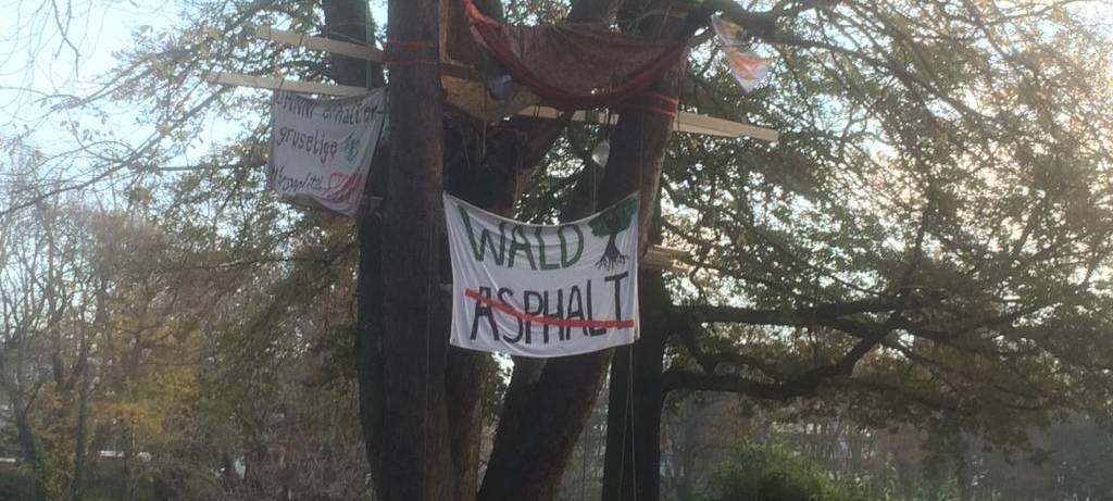 Demonstrierende klettern auf Bäume und hängen Banner auf