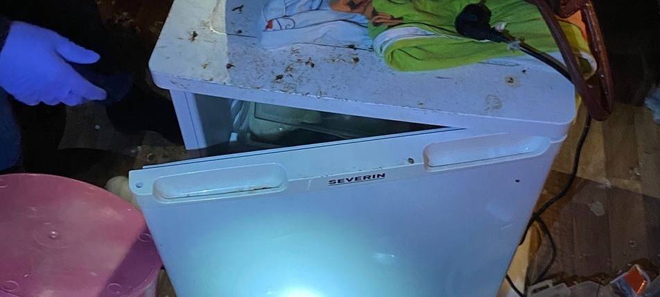 Polizei rettet Hundewelpen aus Kühlschrank