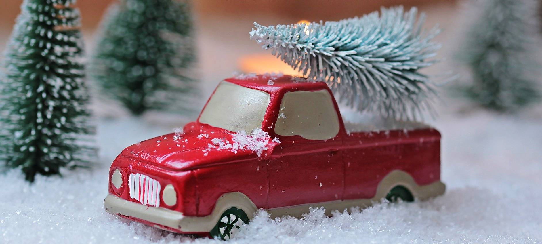 Weihnachtsbaum: Kostenloser Abholservice der AWB