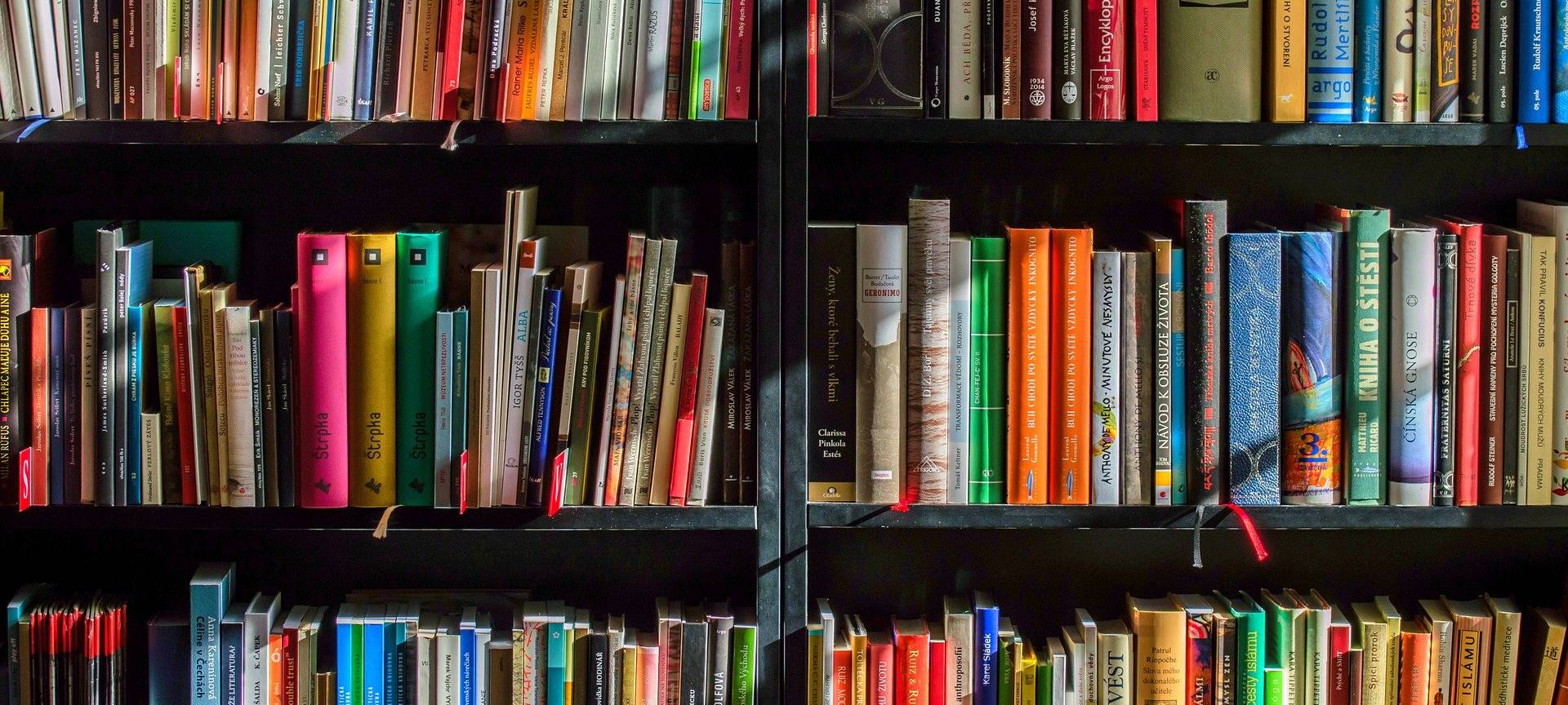 Stadtbibliothek senkt die Preise