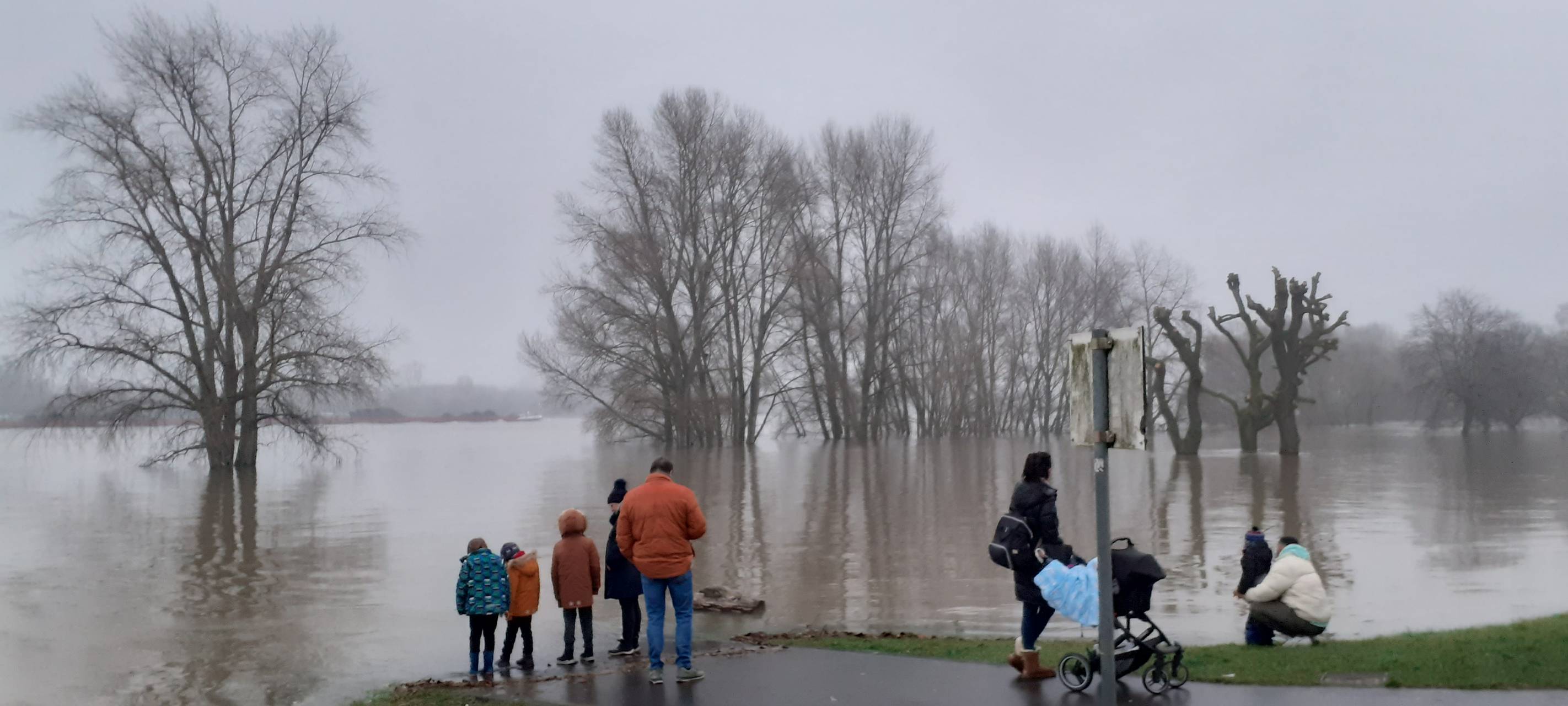 Hochwasser in Köln: Was passiert wann?