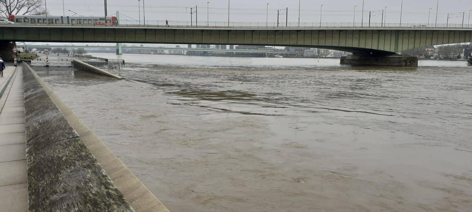 Hochwasser in Köln: Was passiert wann?