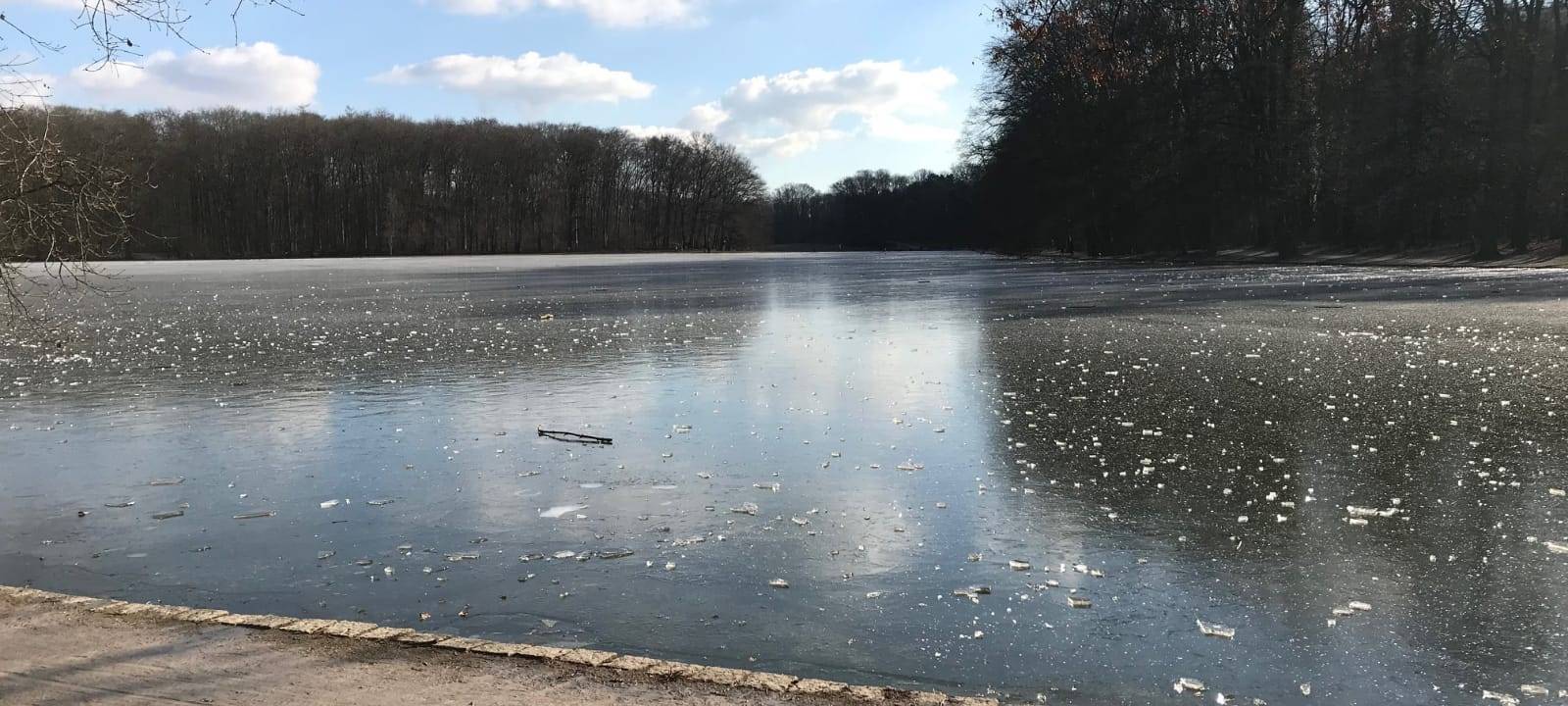 Das Wetter ist kalt - aber die Sonne gibt ihr Bestes. Der Adenauer Weiher ist trotzdem zugefroren.