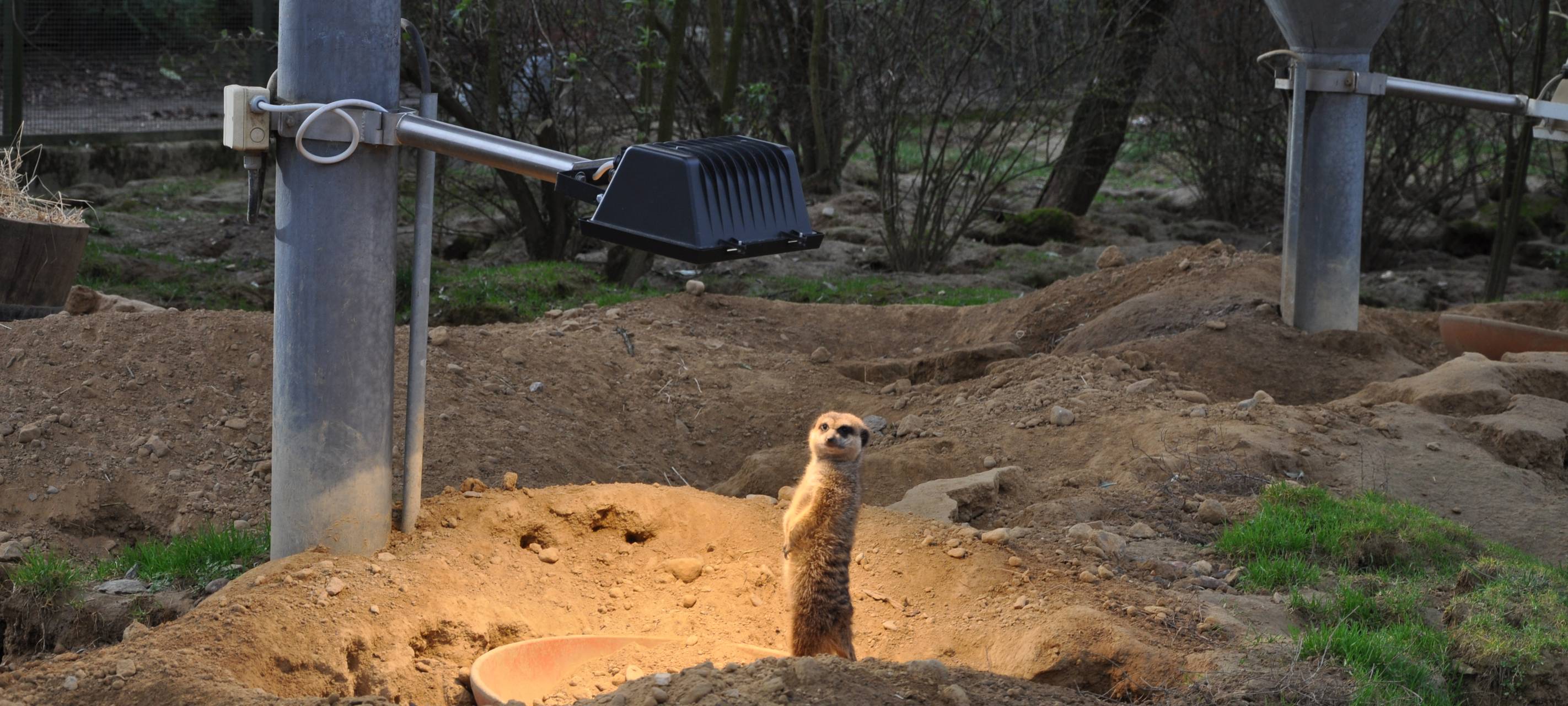 Kölner Zoo wieder geöffnet