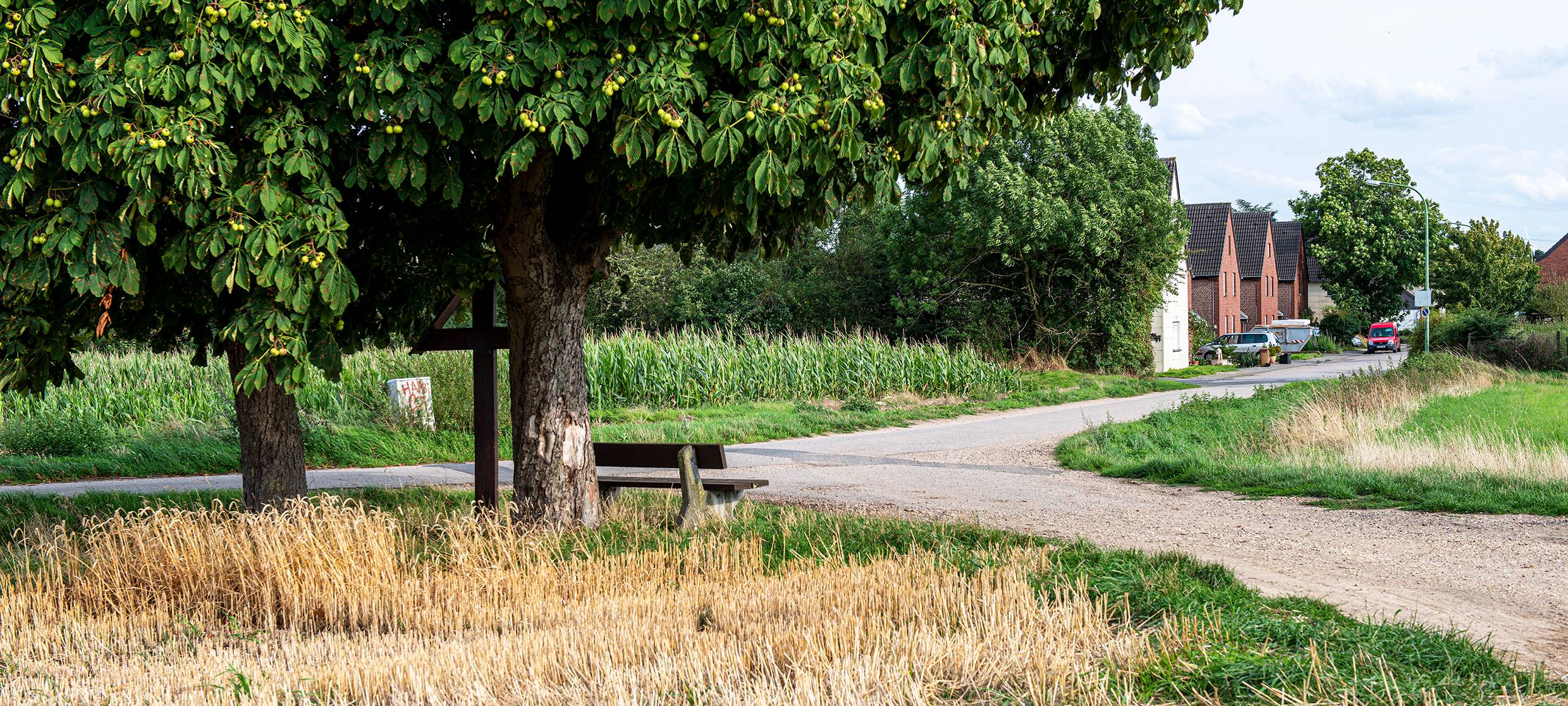 Stadt pflanzt Bäume für Pionierpark