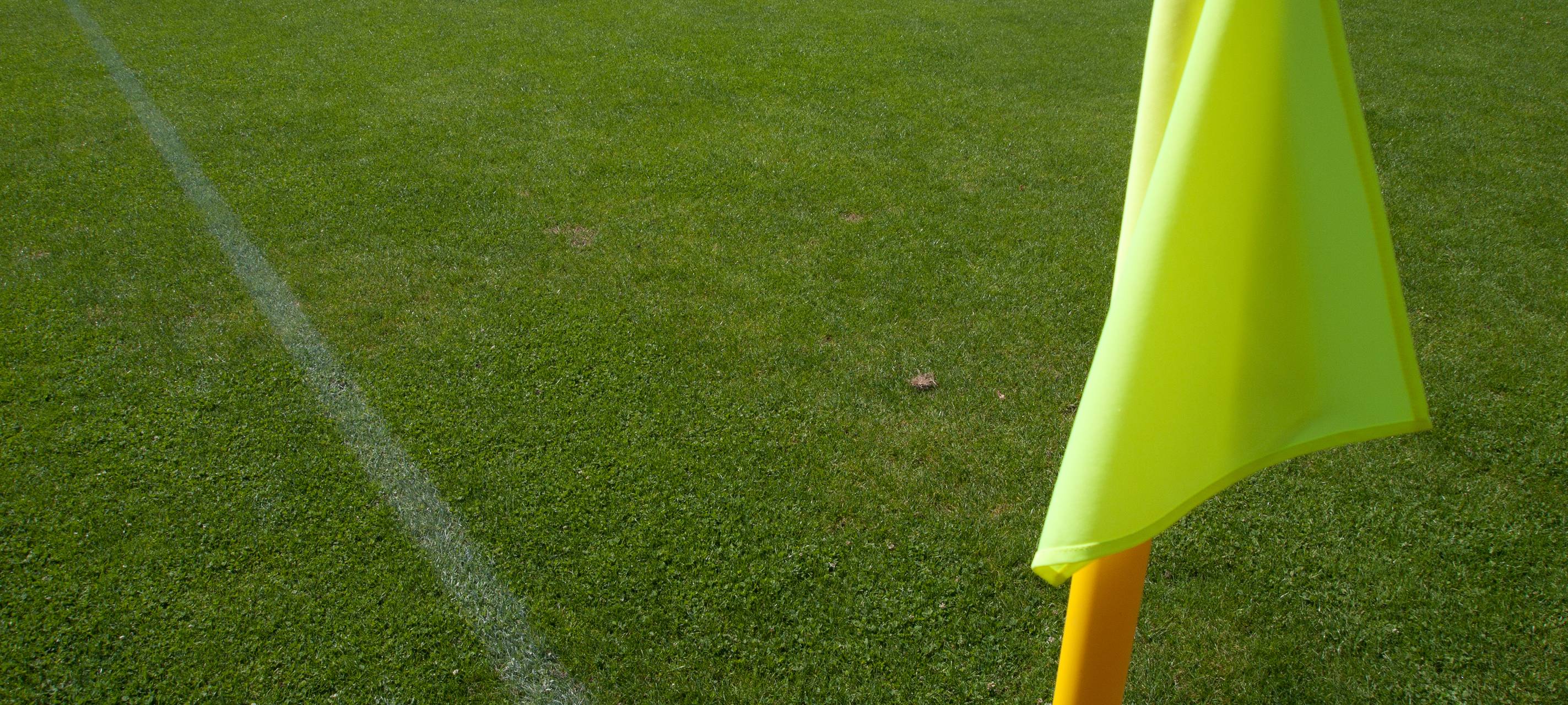 Umweltschützer kritisieren Erweiterungspläne des FC Trainingsgeländes