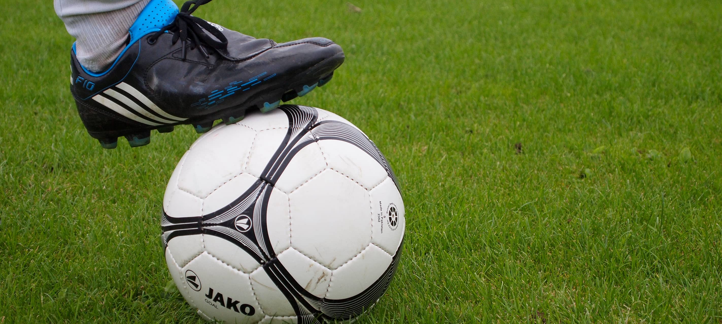 Regionalliga: Viktoria Köln wirft Trainer raus