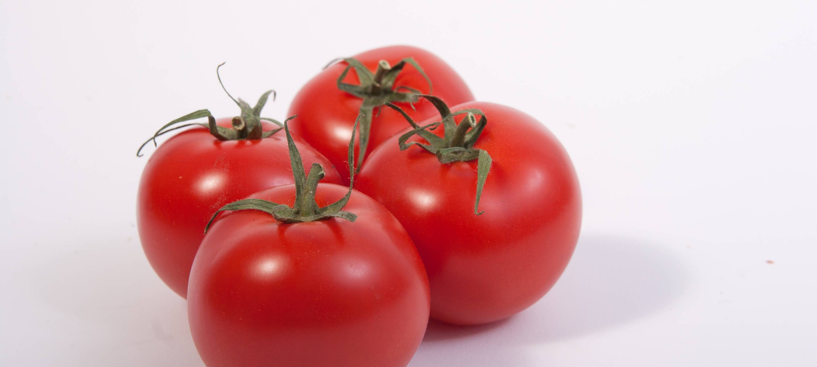 Wie sieht unsere Ernährung in Zukunft aus?