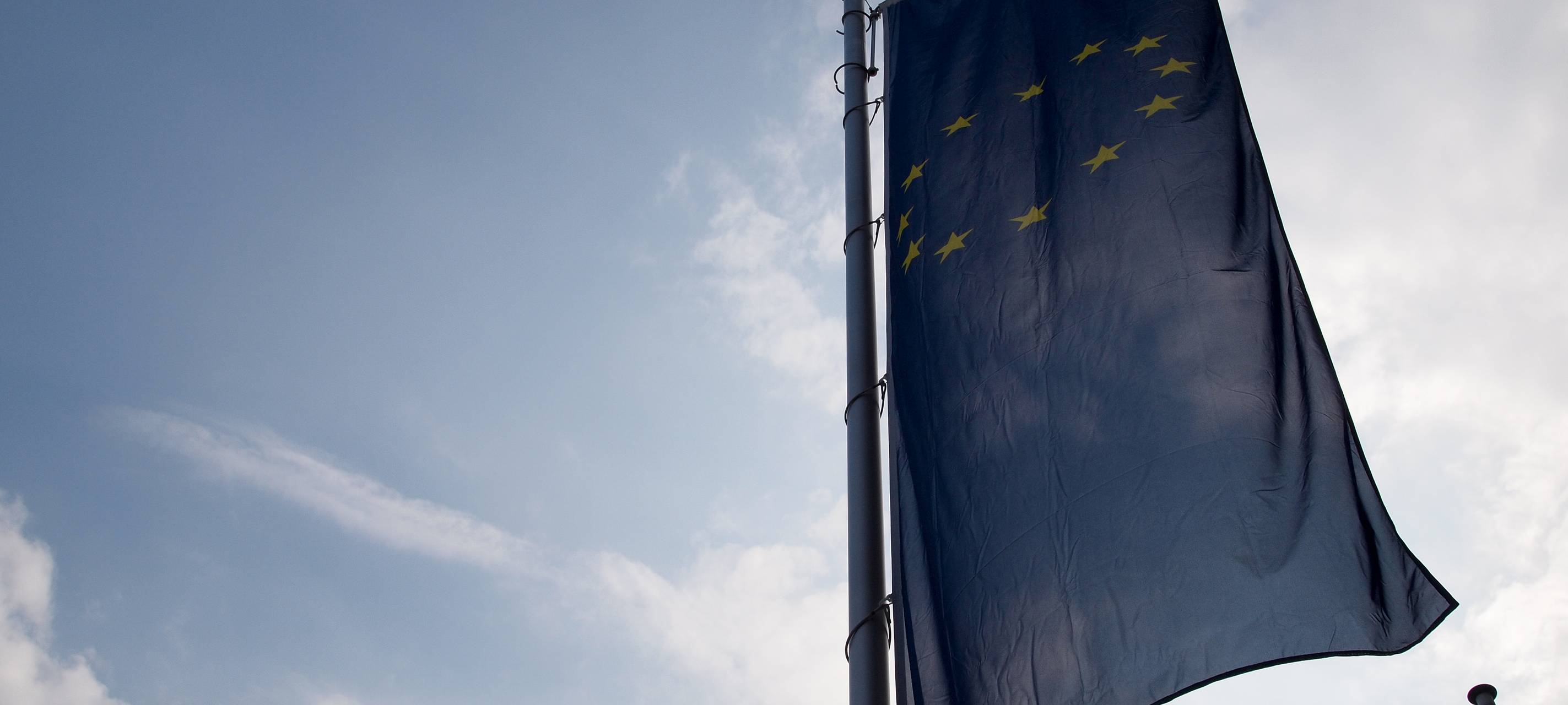 Demonstrationszug für eine neue Version Europas