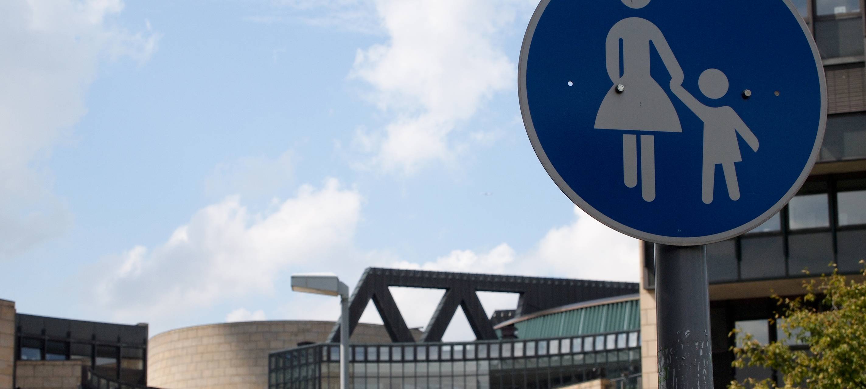 Rechte Bürgerwehr