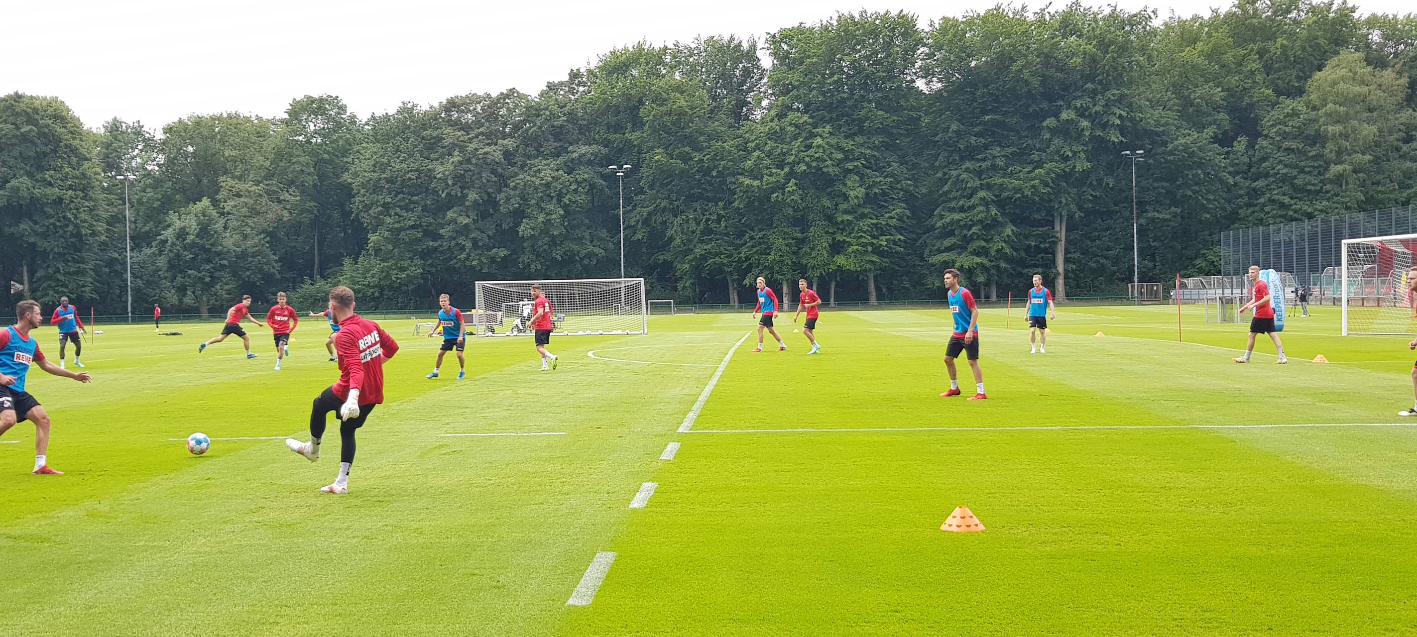 1.FC Köln startet in Saisonvorbereitung