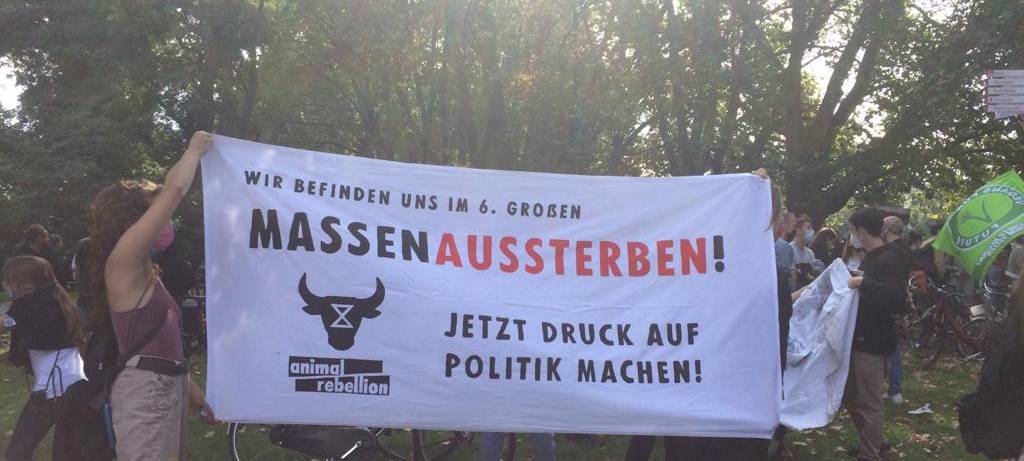 Fridays for Future-Demos zogen durch Köln