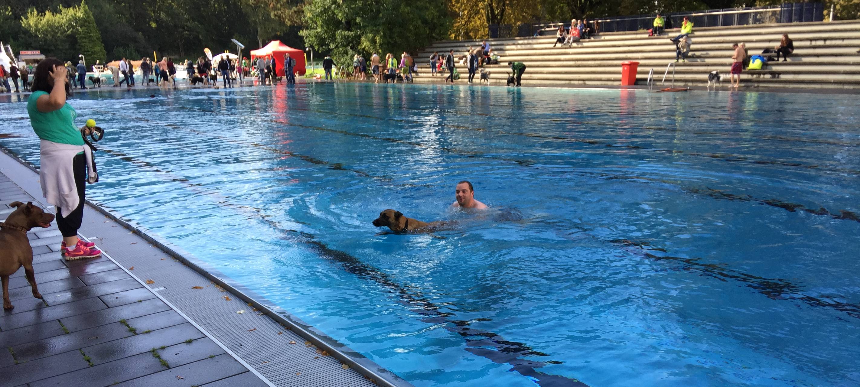 Vorverkauf für Hundeschwimmen gestartet