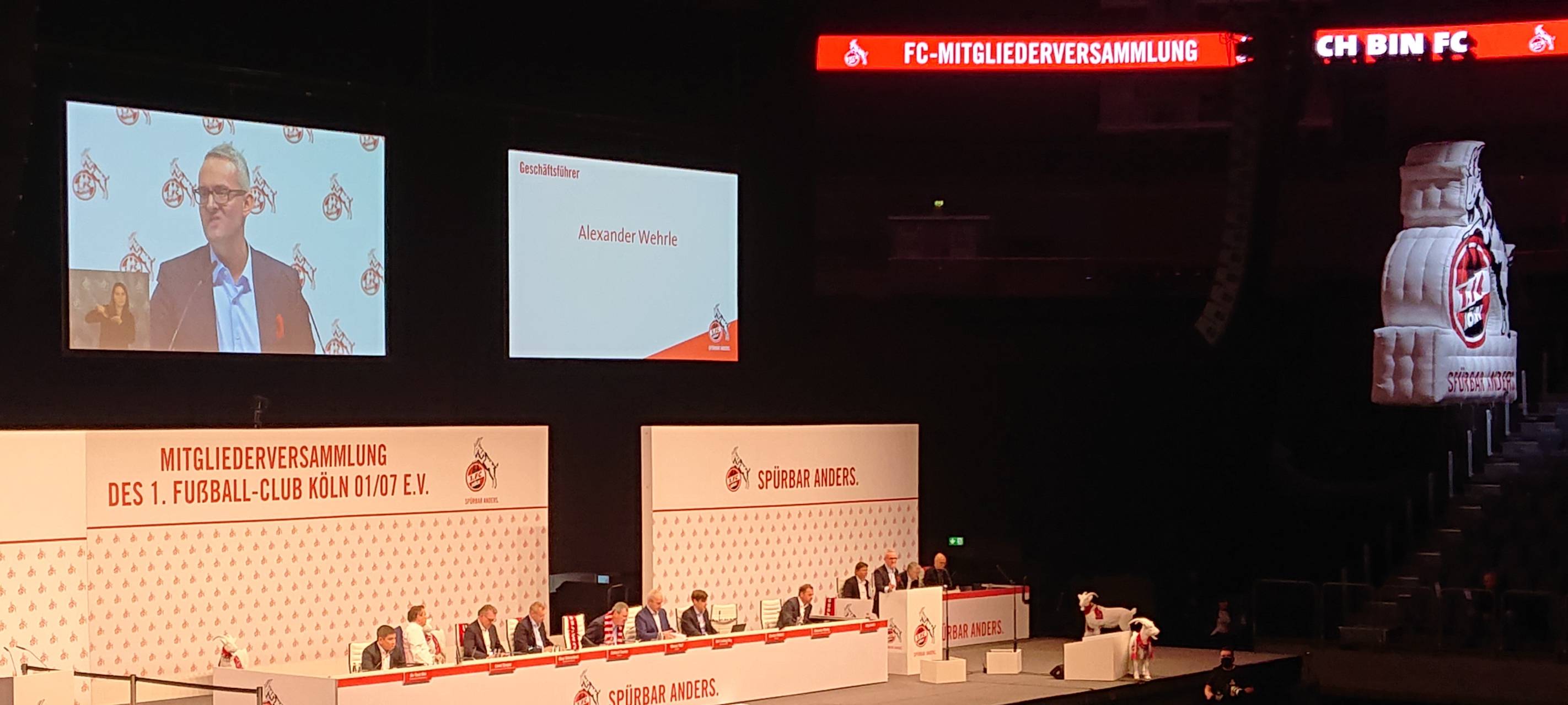 Wolf ruft FC-Mitglieder zu klarer Haltung auf