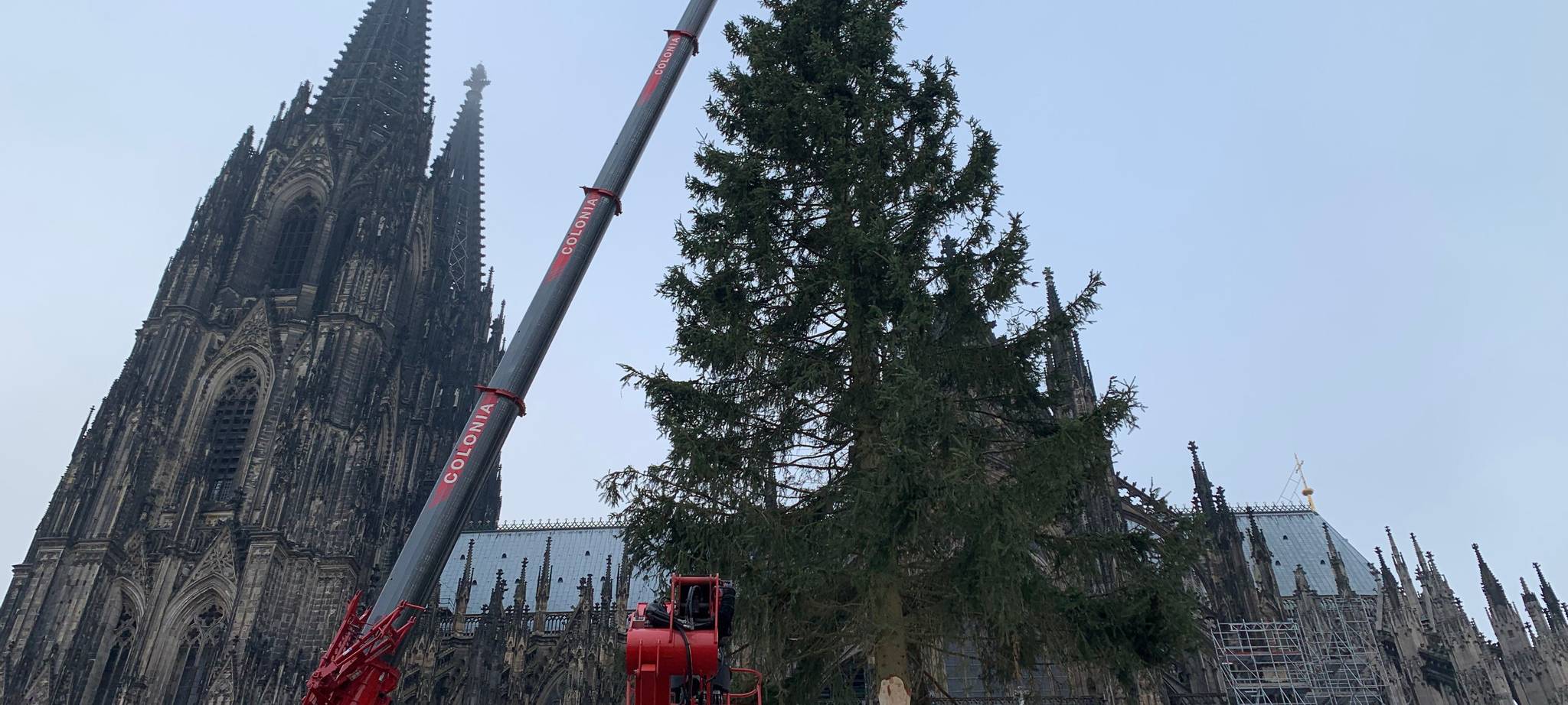 Weihnachtsbaum am Dom aufgestellt