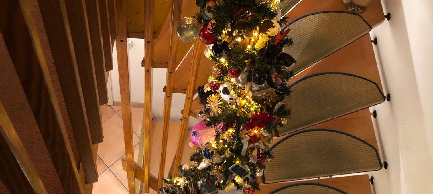 Ist dies das weihnachtlichste Haus Kölns?