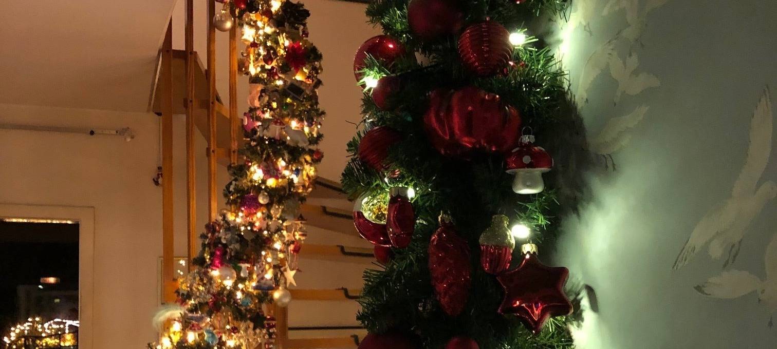 Ist dies das weihnachtlichste Haus Kölns?