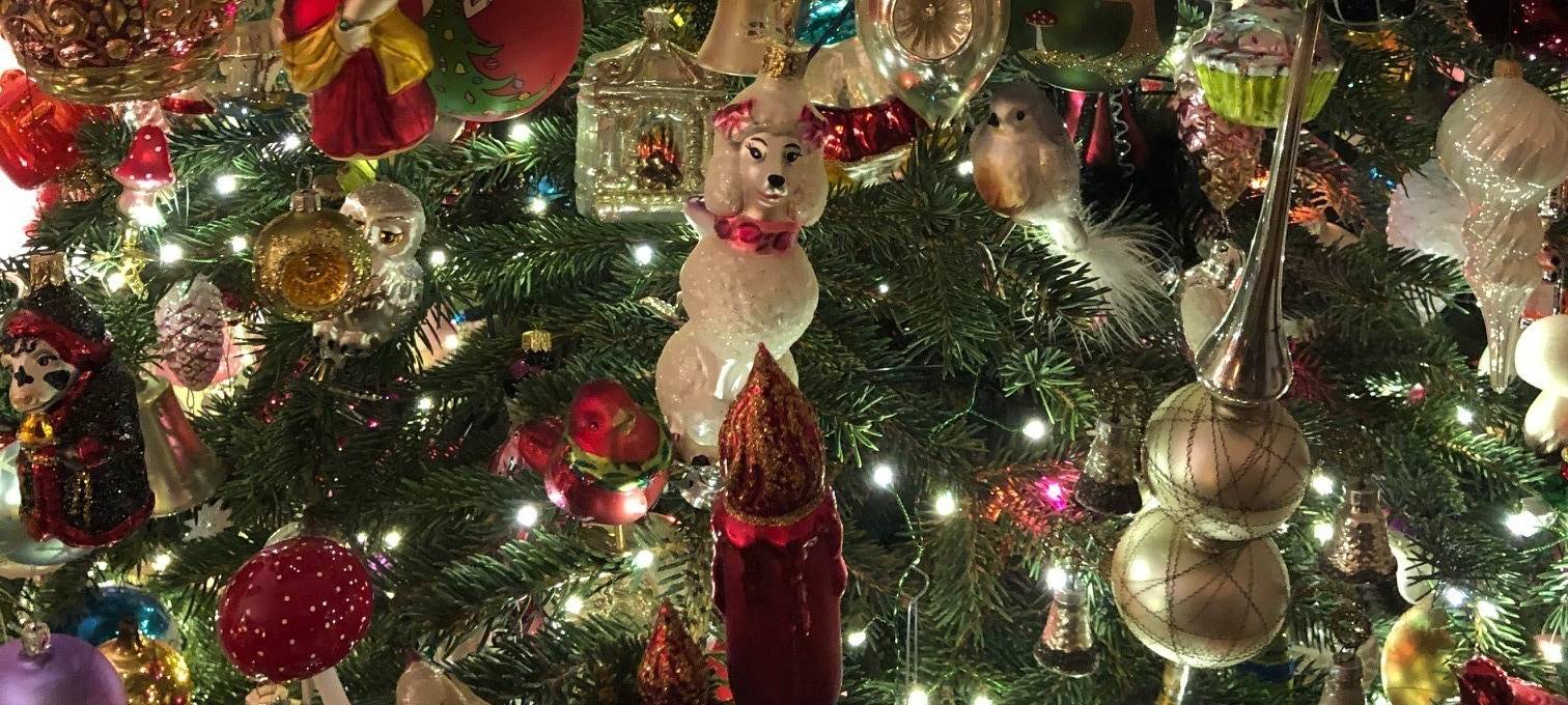 Ist dies das weihnachtlichste Haus Kölns?