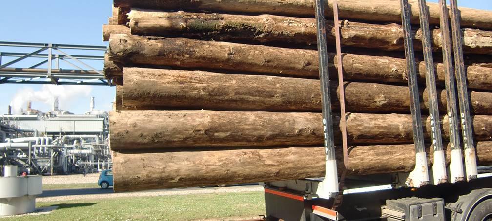Polizei stoppt überladenen Holztransporter