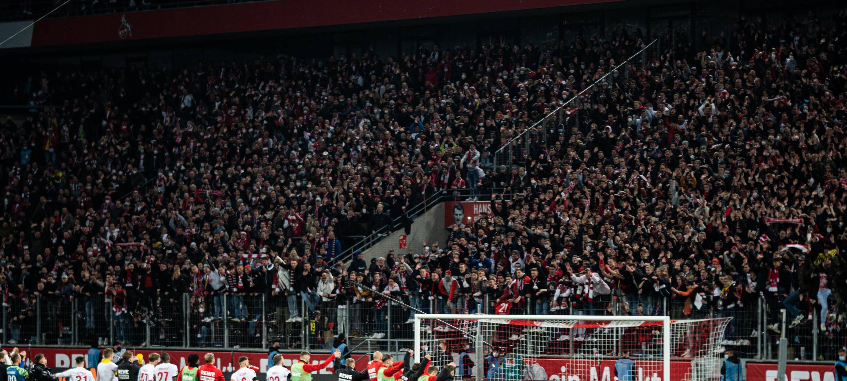 Dritter Geschäftsführer für den 1.FC Köln steht fest
