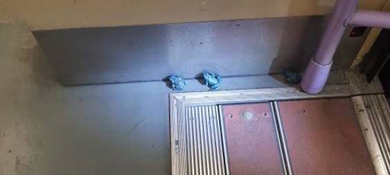 Blaue Kröten in der Straßenbahn