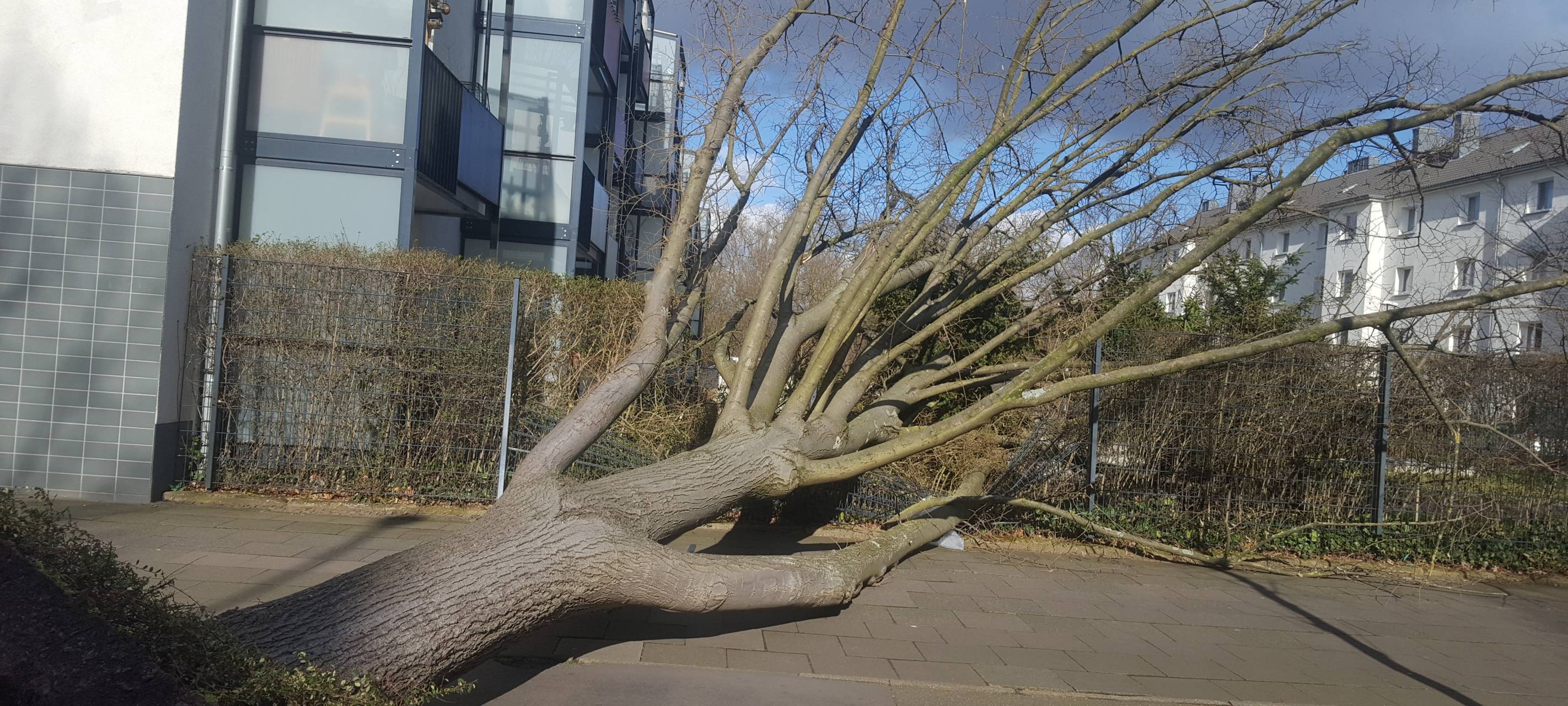 Gewitter-Tief verschont Köln