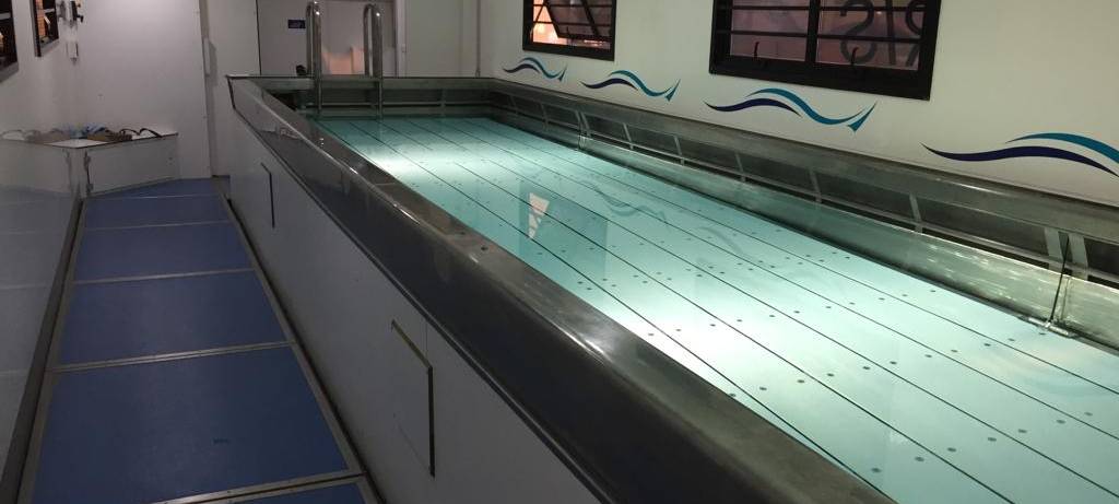 LKW-Pools als Alternative für Schwimmunterricht an Schulen