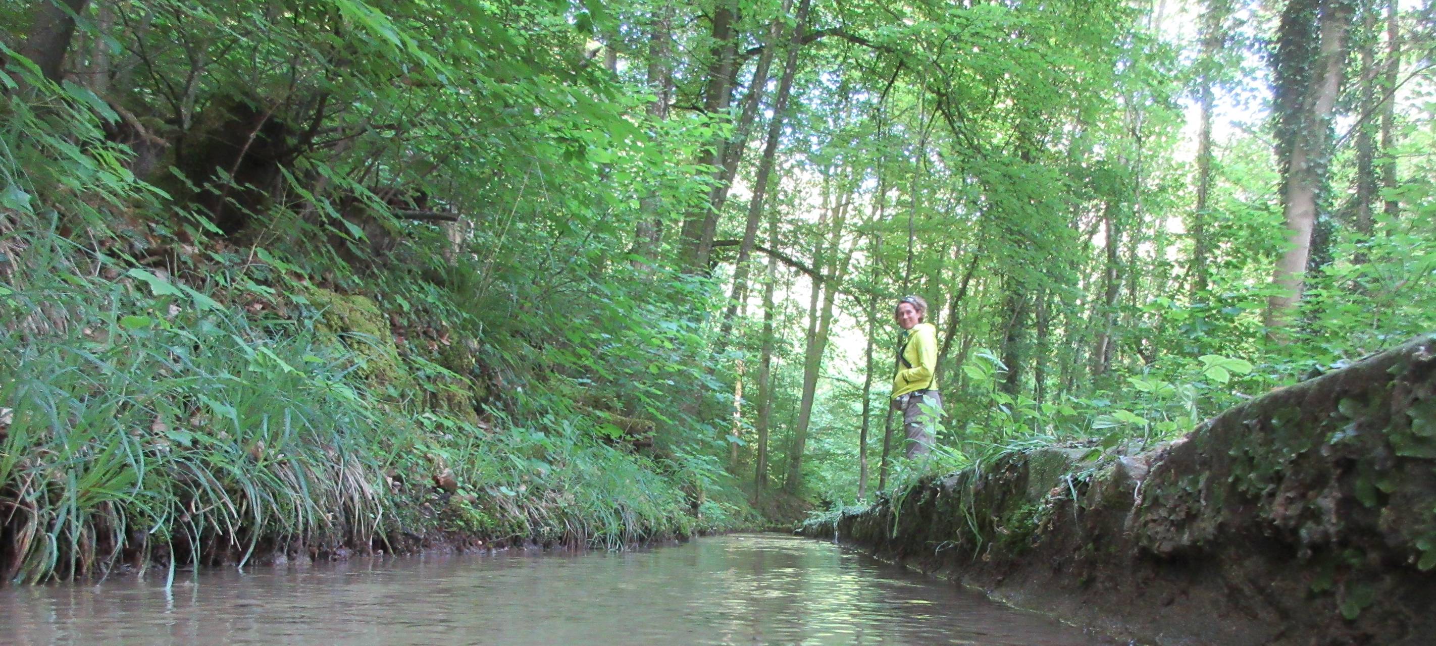 Bachlauf
