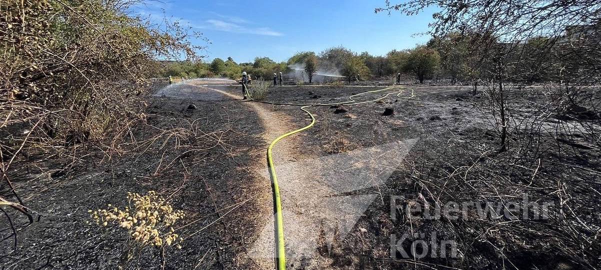 Stadt warnt vor erhöhter Brandgefahr