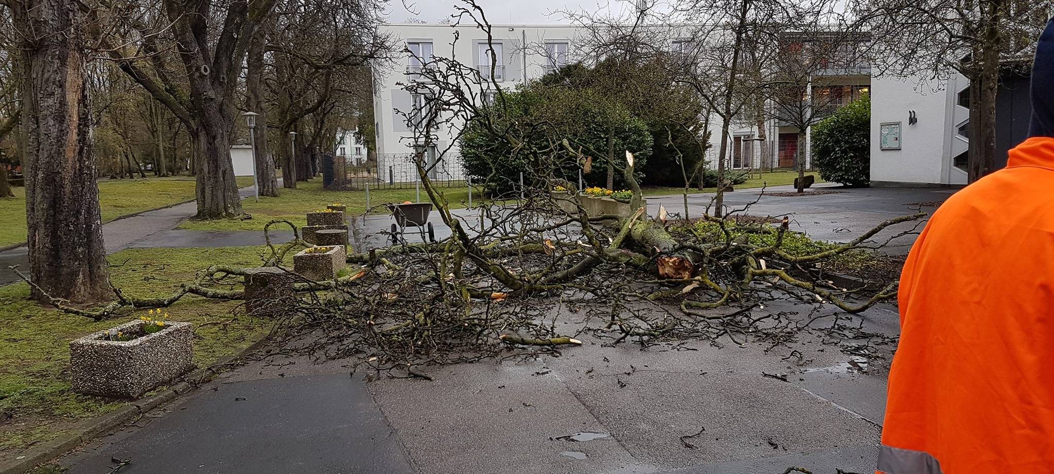 Schäden nach Sturm Eberhard