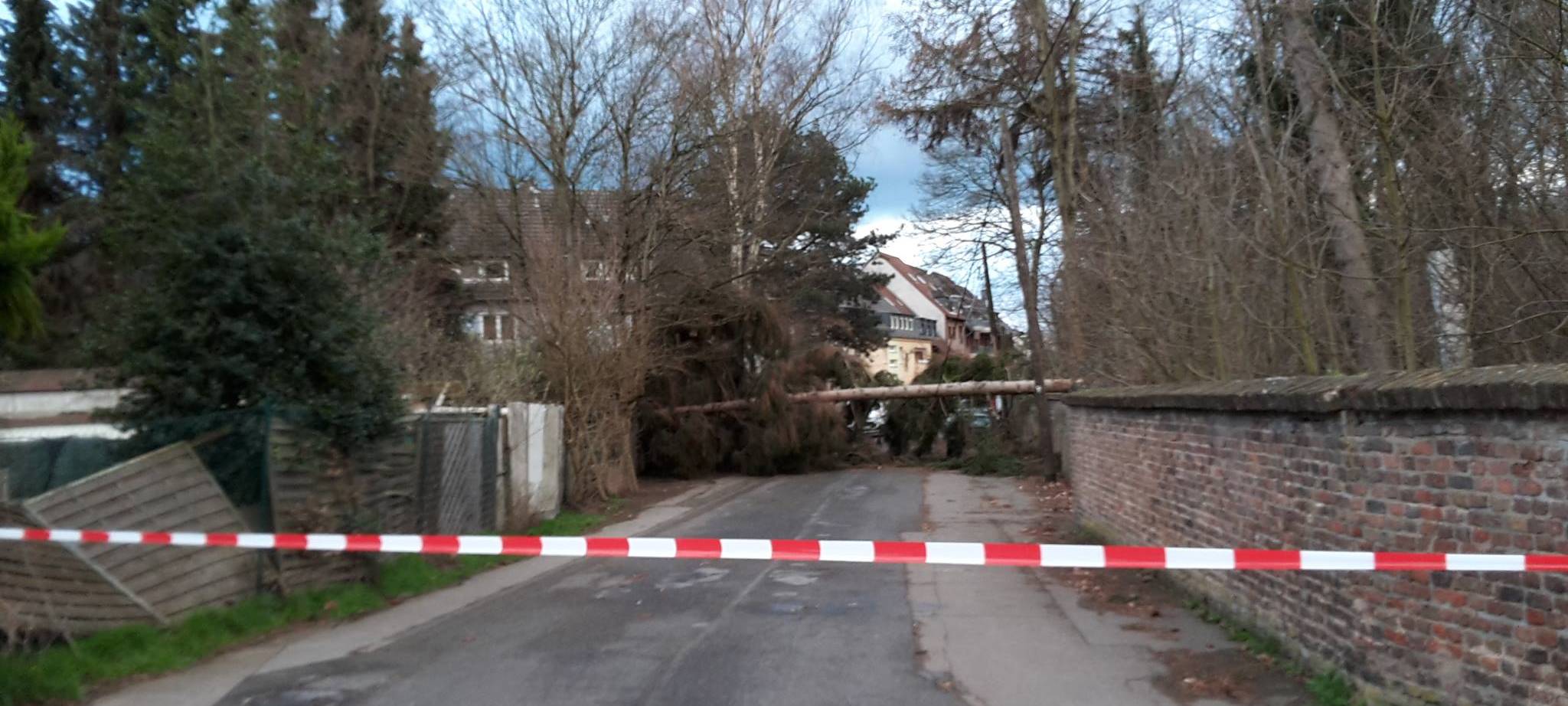 Schäden nach Sturm Eberhard