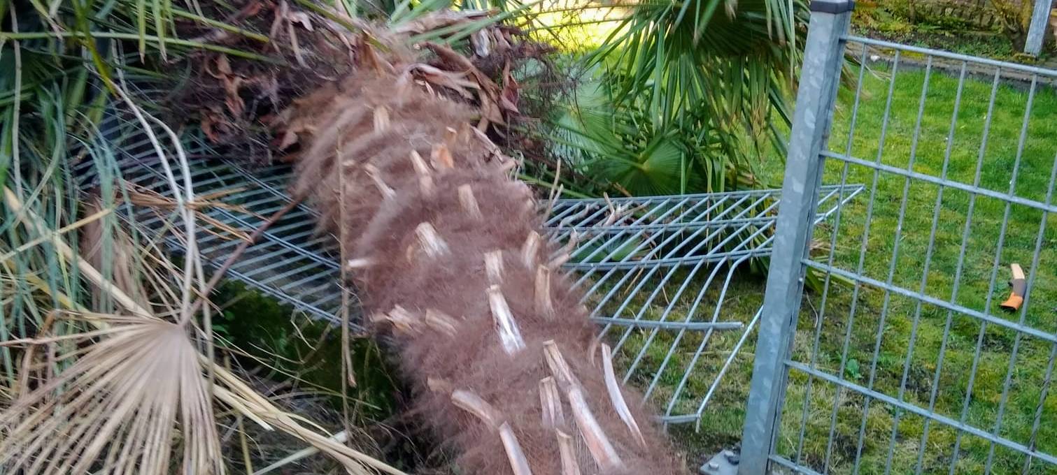 Schäden nach Sturm Eberhard
