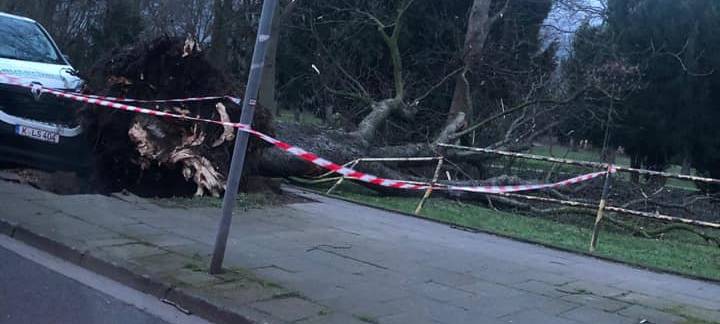 Schäden nach Sturm Eberhard